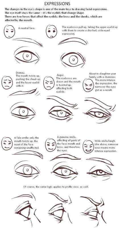 d d d d d d d cartoon eyebrows how to draw eyebrows draw eyes cartoon faces reference