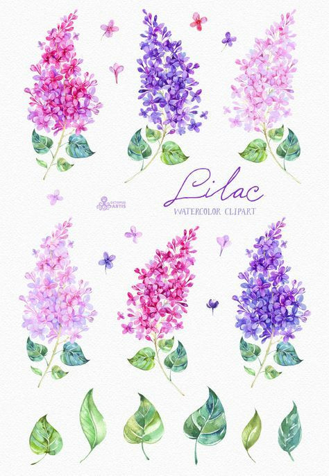 lilac watercolor clipart card floral elements by octopusartis