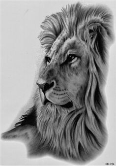 lion animal blood hunt wild temporary tattoo fake tattoo 5 9x8 2 inch hb724