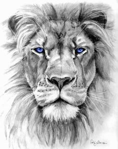 lion tattoo on pinterest