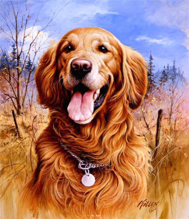 jim killen paintings golden retriever cartoon wildlife art cute dogs dachshund dog