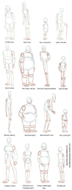 body shapes