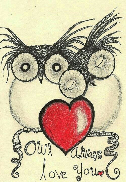 owl always love you heart painted rock idea