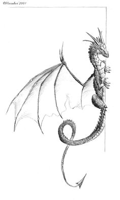 one of my dragon drawings a dragon hanging on a corner of the paper sheet it was done for letter illustration purpose