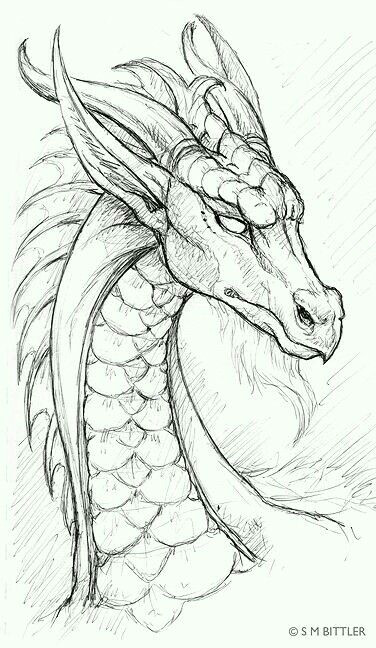 dragon pencil drawing