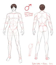 general male anatomy visual guide brought to you by hello santa rhiou