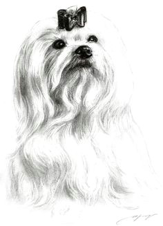 dog art fine art america