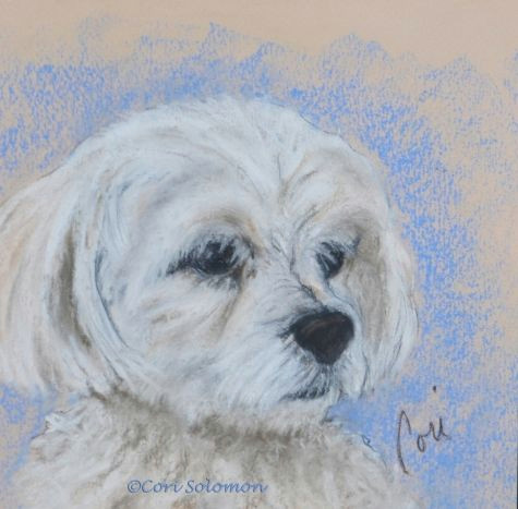 maltese dog art by cori solomon painting by artist art helping animals