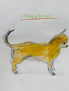 chihuahua art animal sketches dog illustration dream art character design references creature design animal paintings archive library animals dog