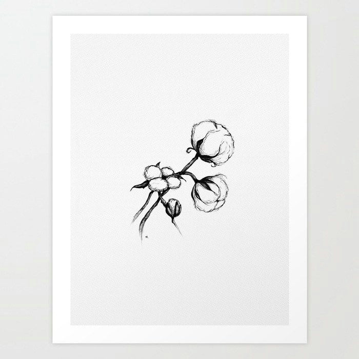 cotton art print by wildbloomart worldwide shipping available at society6 com cotton cotton balls cotton drawing pencil drawin modern florals