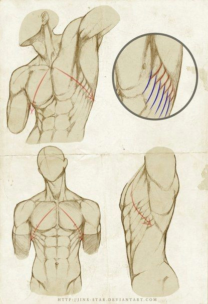 d n dµd d neck drawing drawing abs axe drawing drawing style drawing muscles