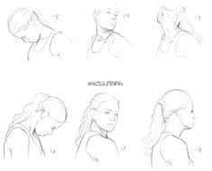 helpyoudraw neck reference updated by melissadalton from deviantart many thanks to spreeunit for linking us