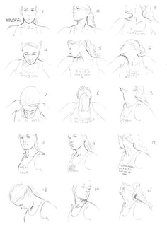 neck and shoulder reference sheet art drawing tips by melissa dalton