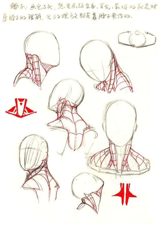 anatomy sketches drawing sketches art drawings neck drawing drawing heads body
