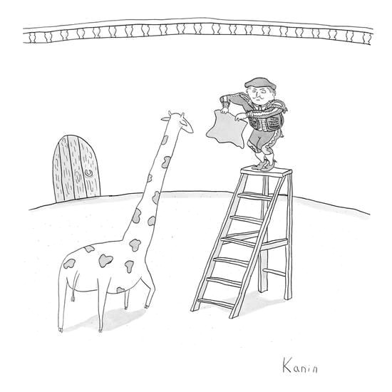 a matador on a ladder faces a giraffe new yorker cartoon premium giclee print by zachary kanin at allposters com