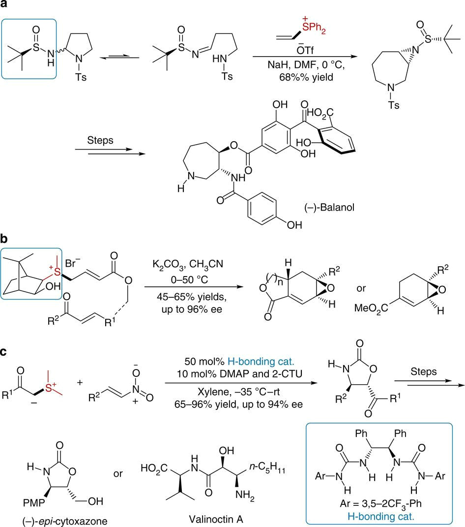 converting newman projection to line drawing awesome asymmetric trapping of zwitterionic intermediates by sulphur ylides