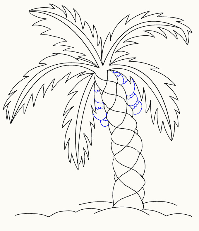 how to draw palm tree step 15