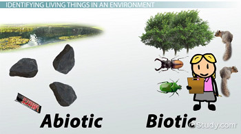 biotic and abiotic elements