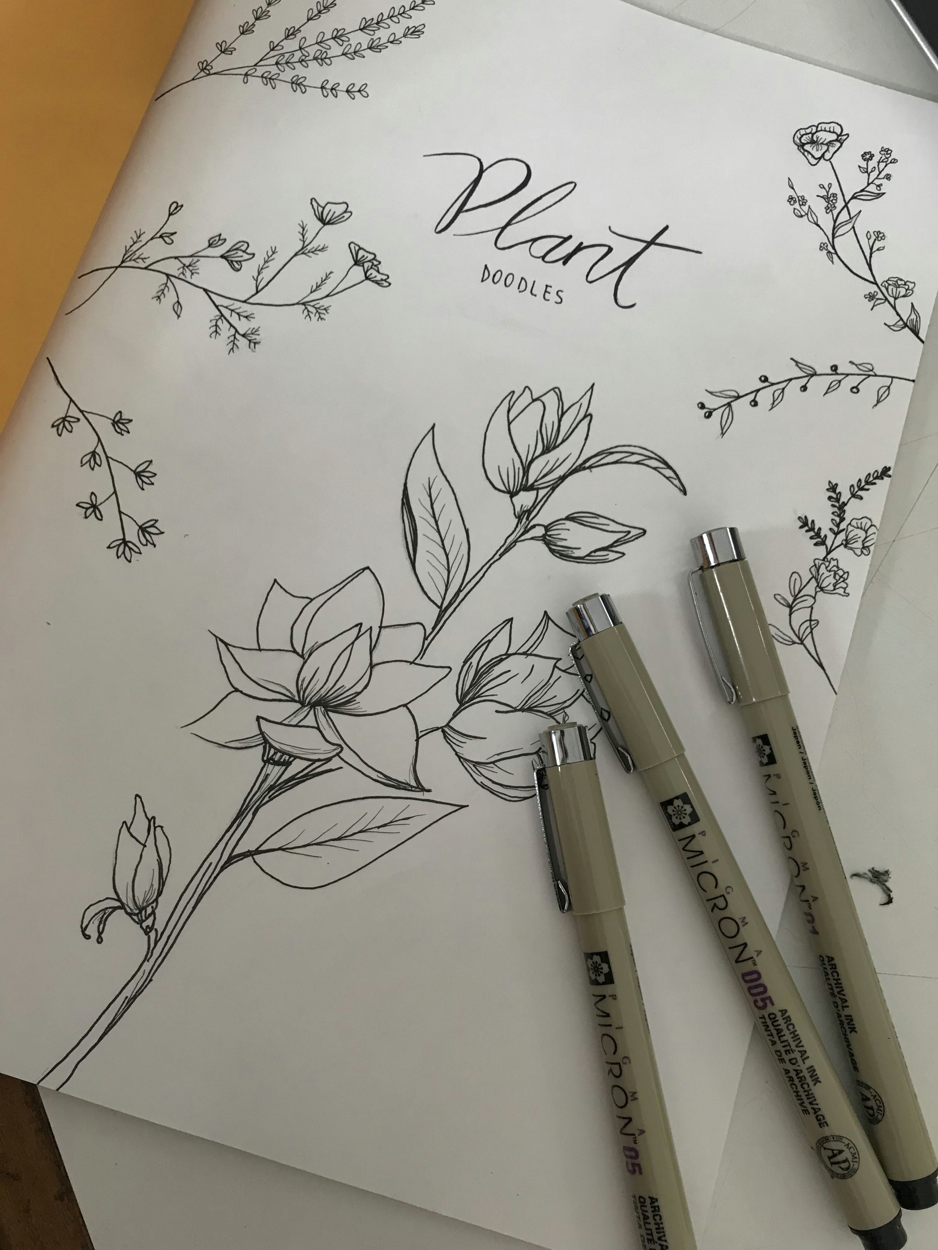 plants doodles plants draw botanical botanicalillustration micron hobbie clean flower