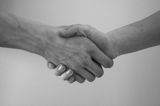 hand greeting agreement hand shaking