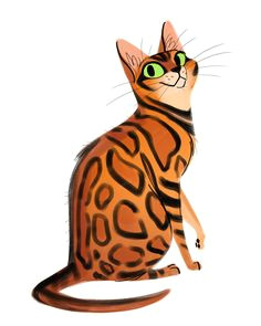 belgian bengal artwork is not mine bengal cat kittens anime animals warrior