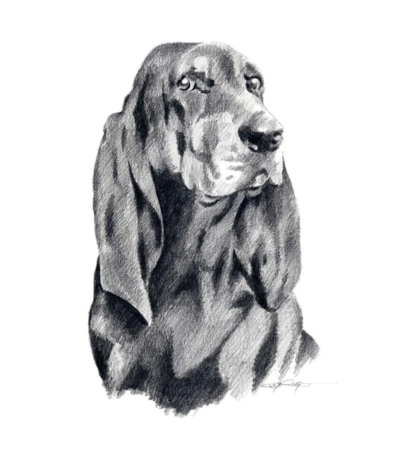 black and tan coonhound art print signed by artist dj rogers