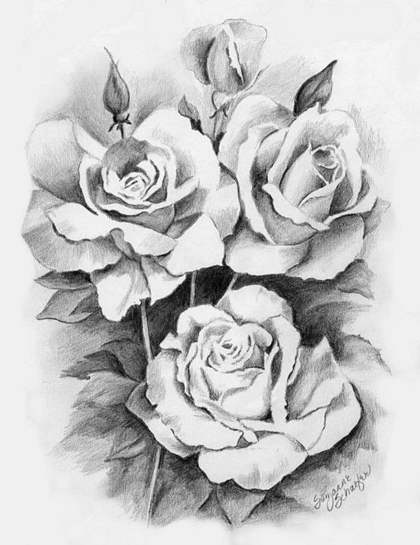 real black roses awesome drawings roses s s media cache ak0 pinimg originals 89 0d 6b black
