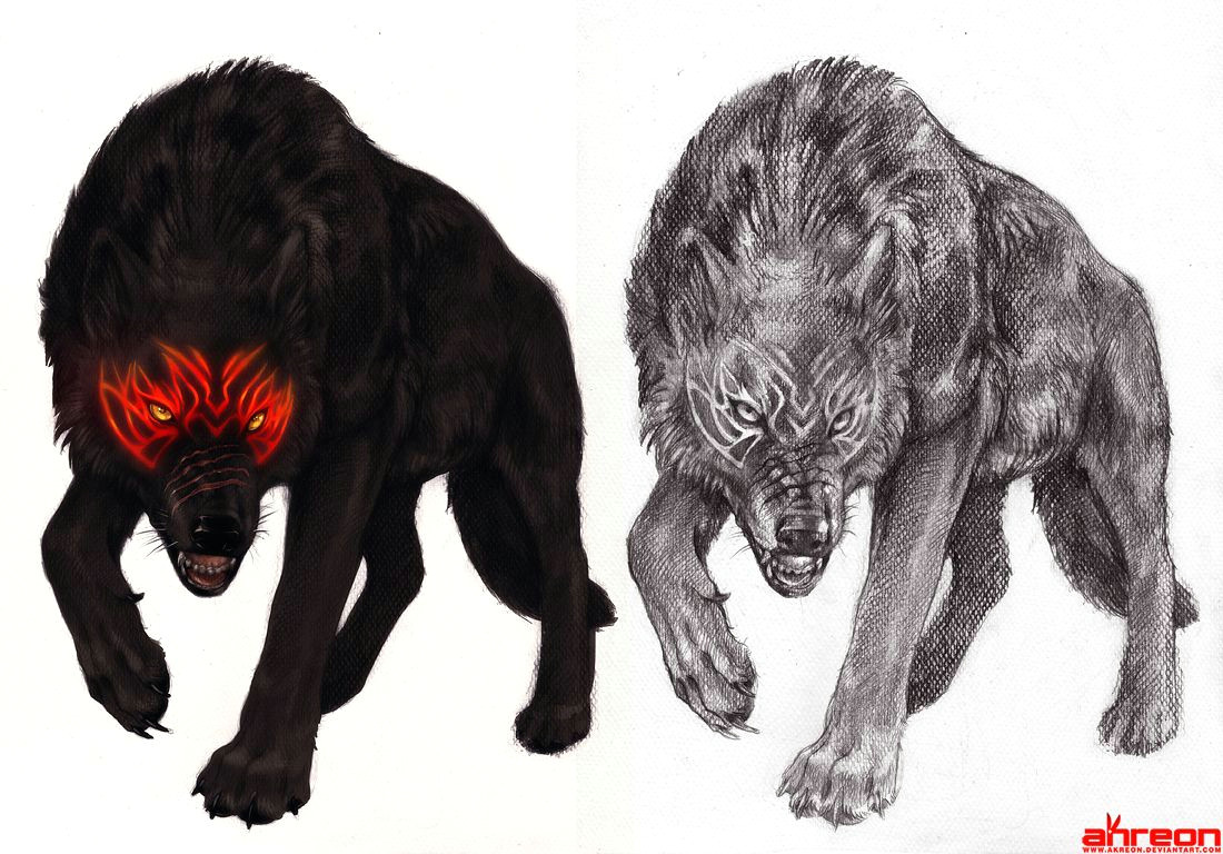 black wolf by akreon deviantart com on deviantart