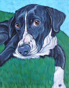 cassidy the mixed breed dog pet portrait painting on 11 x 14 canvas in