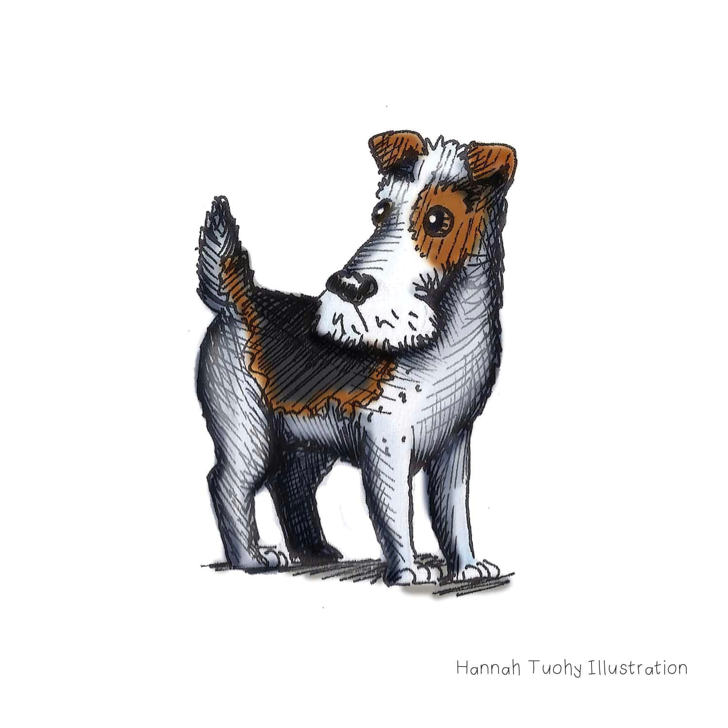 hannah tuohy illustrator dogbarkingvideo dog barking blue dog line drawing dog art