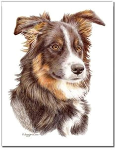 border collie painting miniature border collie border collie art dog supplies dog art