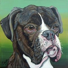 buy boxer dog original art painting 8 x 8 inches deep set stretched canvas