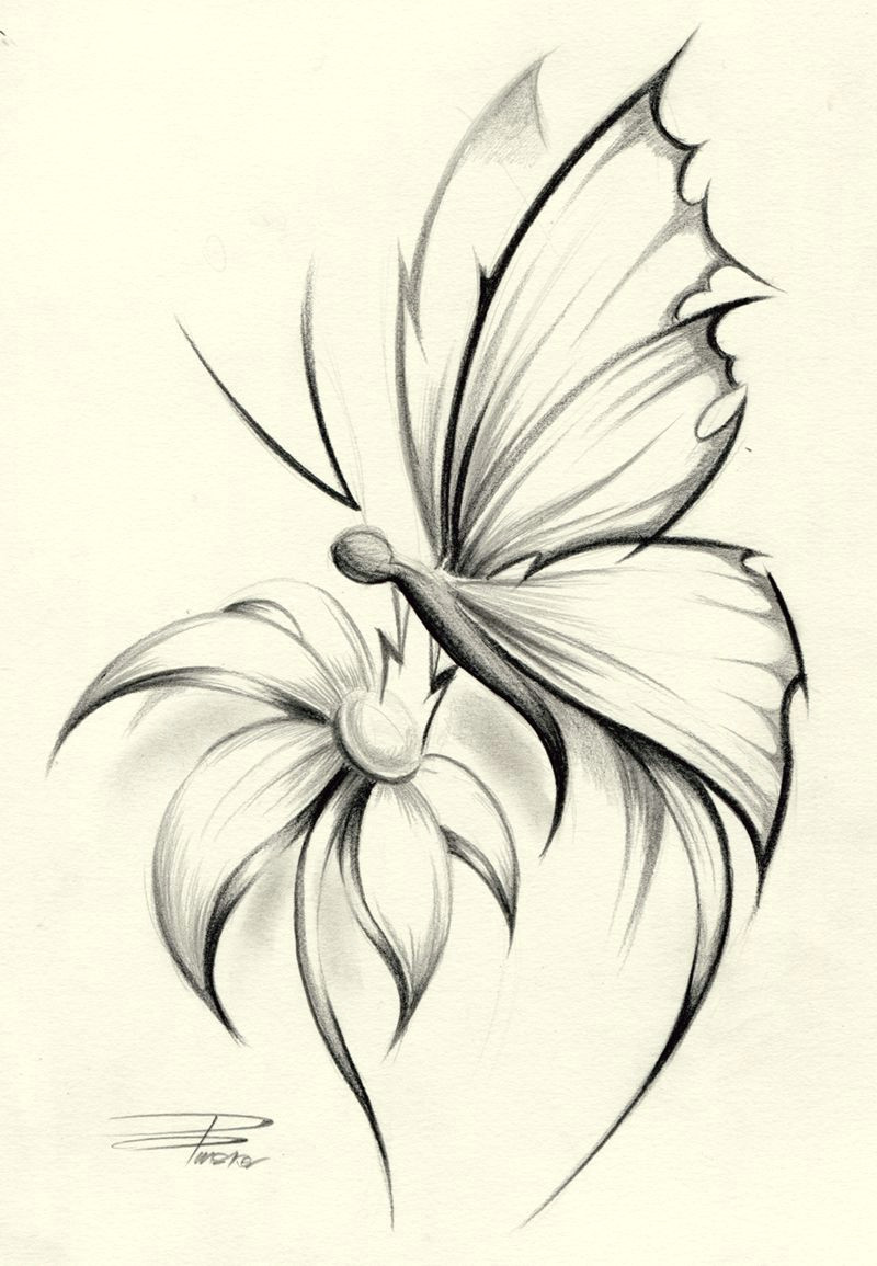 butterfly flower by davepinsker on deviantart
