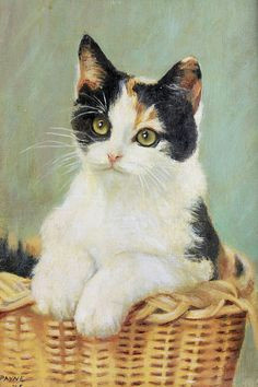 adorable calico kitten in basket painting