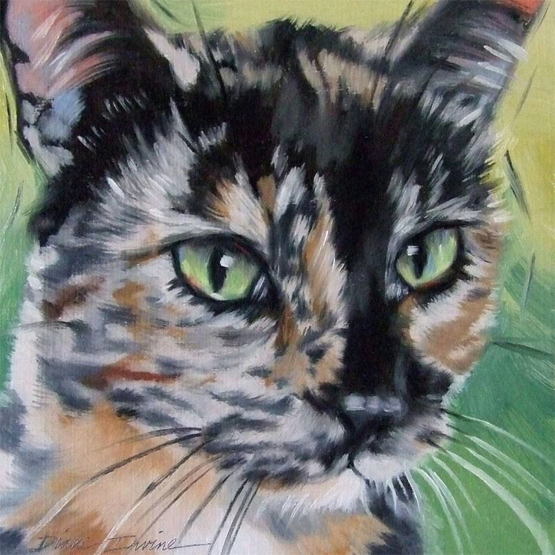 calico cats cat paintings pet art art illustrations crazy cats cat