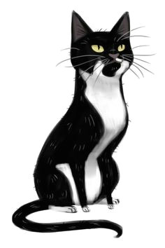 daily cat drawings your daily cat illustration fix cat drawing tumblr cat doodle