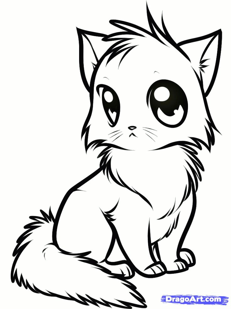 draw a cute anime cat step by step drawing sheets added by dawn clay pinterest drawings cat drawing and cat drawing tutorial