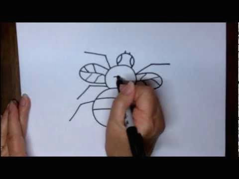 how to draw a fly step by step simple beginners lesson youtube