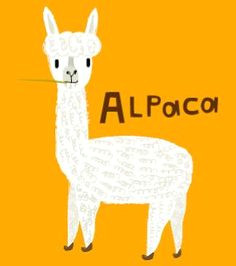 kathleen habbley alpaca illustration alpaca cartoon cartoon llama alpaca drawing wall art prints