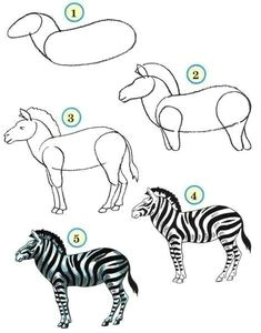 draw wildlife animals zebra zebra drawing easy drawings animal drawings art for