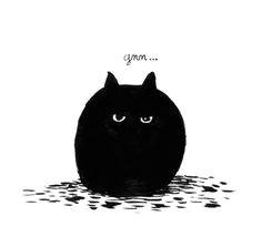 black cat gato preto gatto nero gnn a c delphine durand simple cat drawing