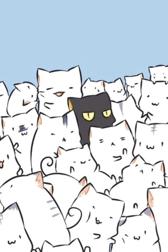 this one black cat between all these white ones