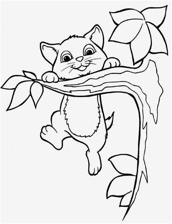 kitty cat coloring pages fresh coloring pages line new line coloring 0d archives con scio
