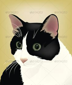 cat portrait gatos cats cute cats cats and kittens face illustration cat