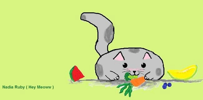 can cats eat vegetables