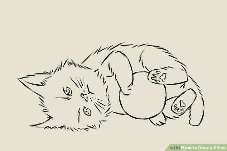 image titled draw a kitten step 17