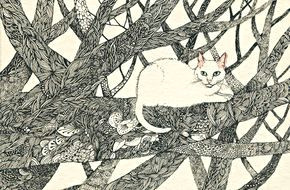 midori yamada cat in a tree love the tangles on the branches