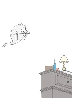 shaunbox cat jumping