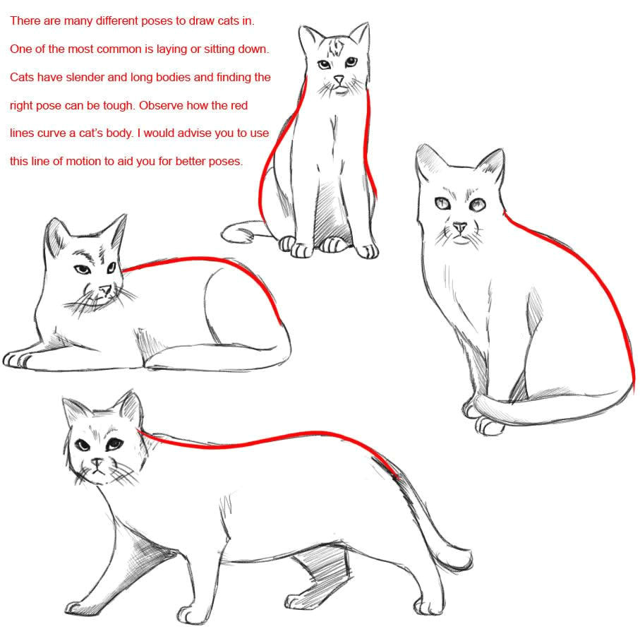 kids can use this printable to discover how easy it is to learn to draw their own cartoon cat or kitten