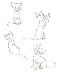 cat sketches